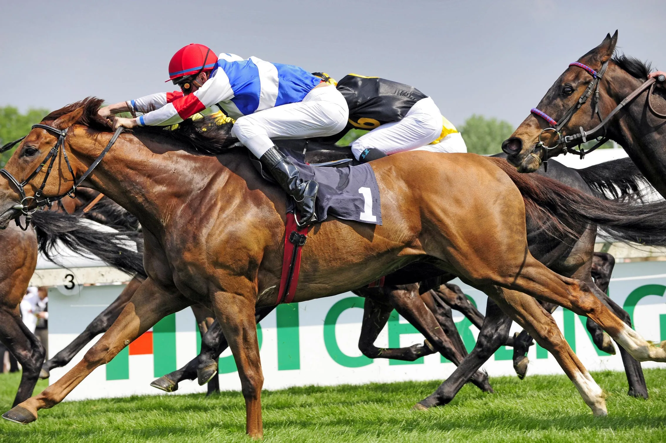 Geldanlage: Nicht alles nur auf ein Pferd setzen