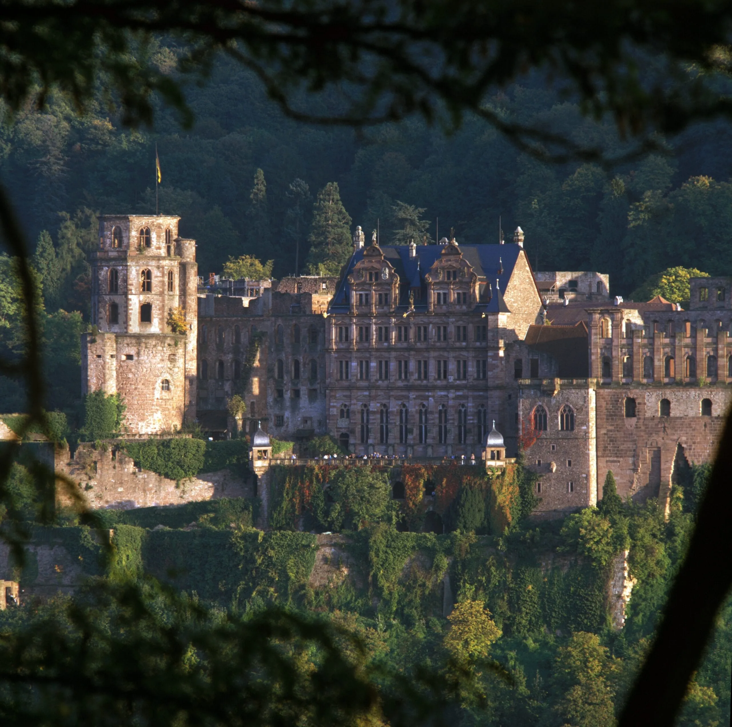 Schloss Heidelberg thront ganz oben