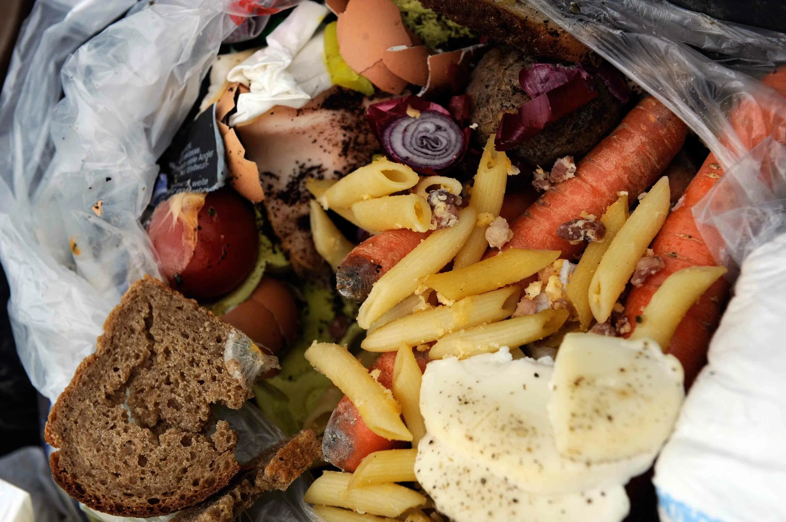 Jeder Bundesbürger entsorgt jährlich knapp 82 Kilo Lebensmittel