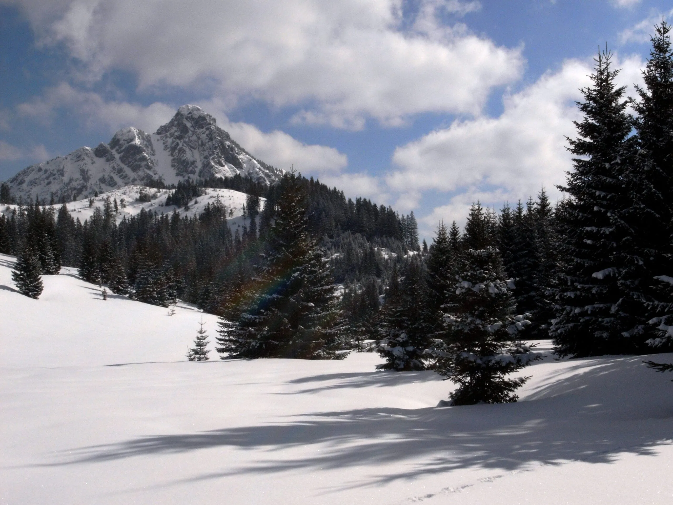 Mit Schneeschuhen zum Schönkahler