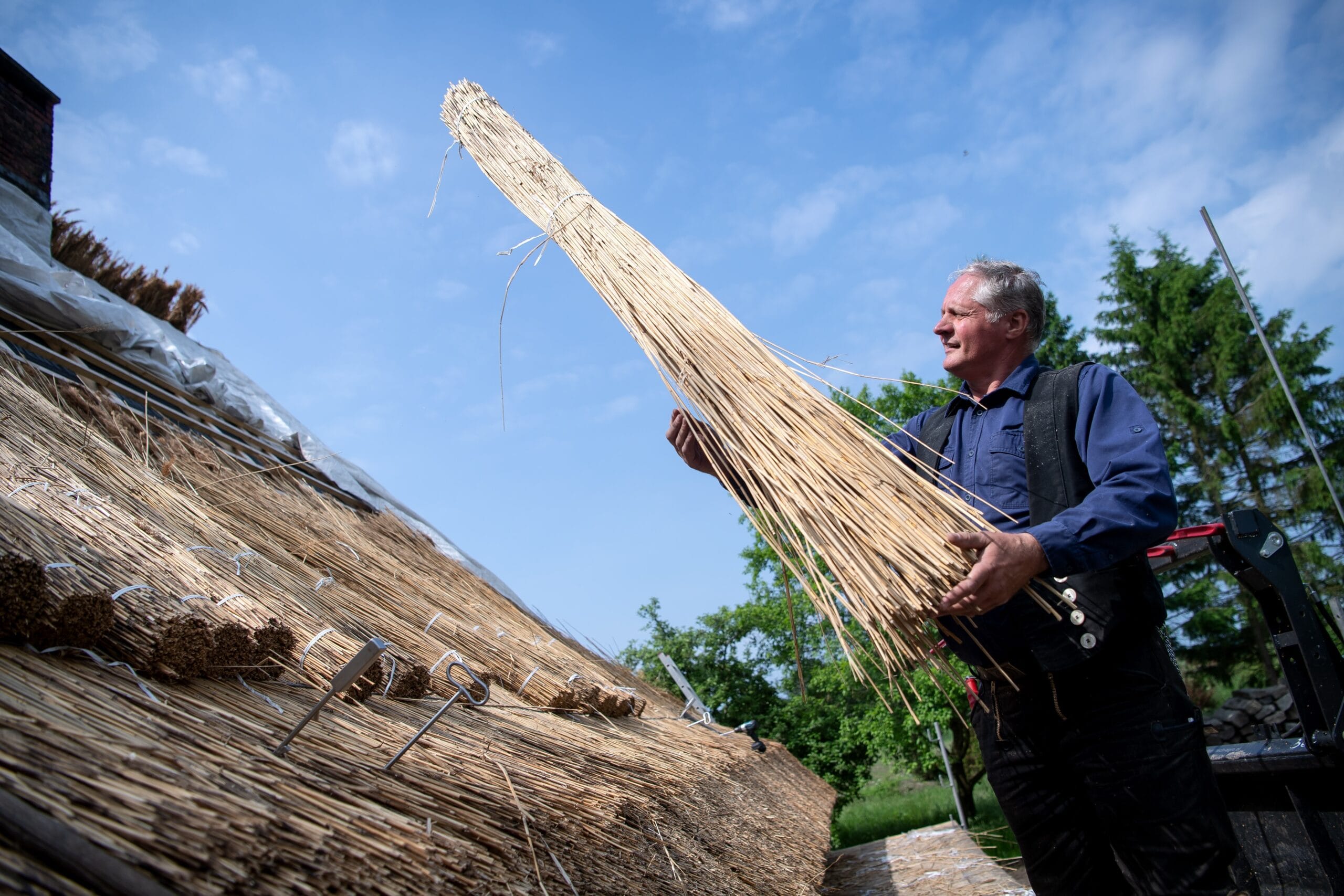 Peter Heinrich, Reetdachdeckermeister, arbeitet an einem Reetdach.