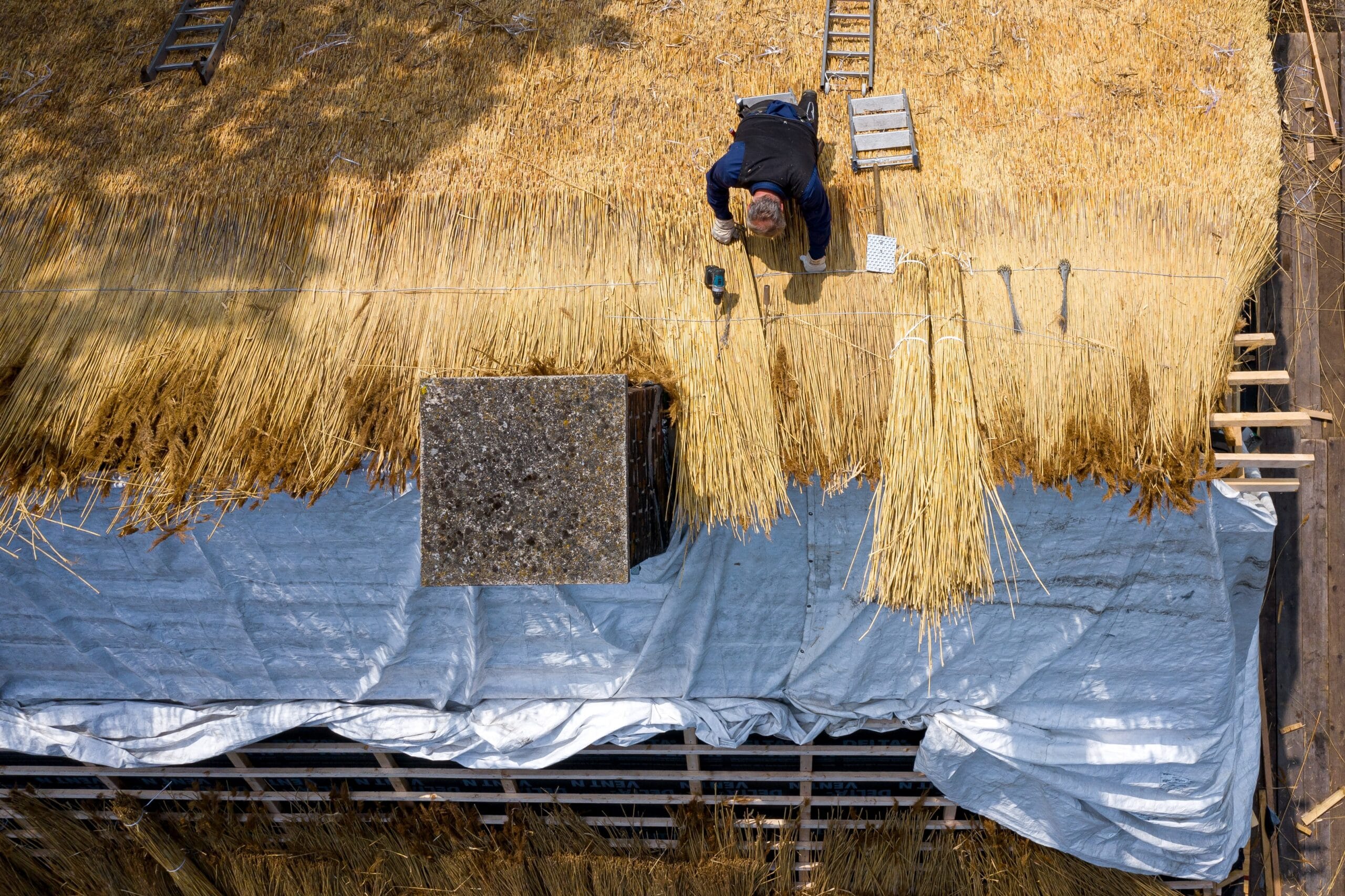 Reetdächer prägen vor allem in Norddeutschland das Landschaftsbild - eine der ältesten Handwerkstechniken beim Hausbau ist noch heute gefragt. Doch bei dem traditionsreichen Handwerk gibt es Zukunftssorgen.