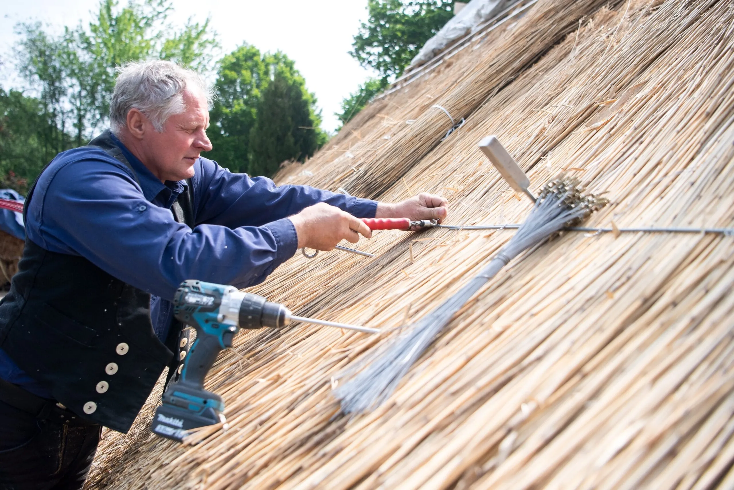 Reetdächer - Alte Technik im Trend