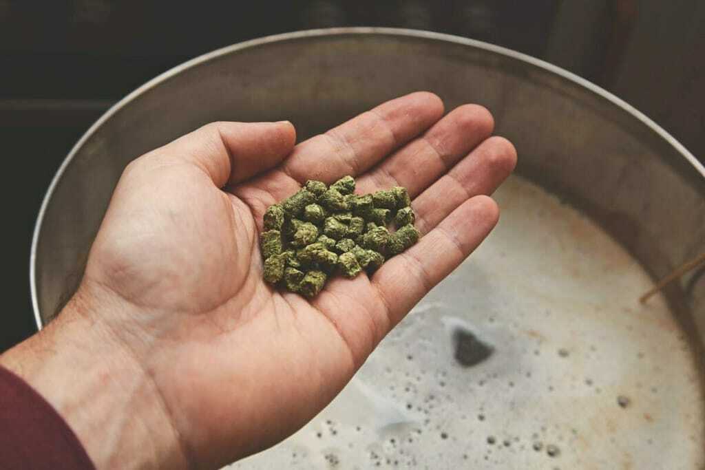 Brauer gibt Hopfen in den Sud