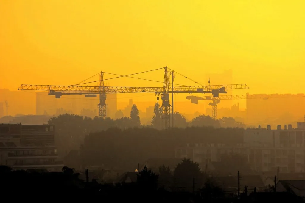 Kr&auml;ne in der Hitze