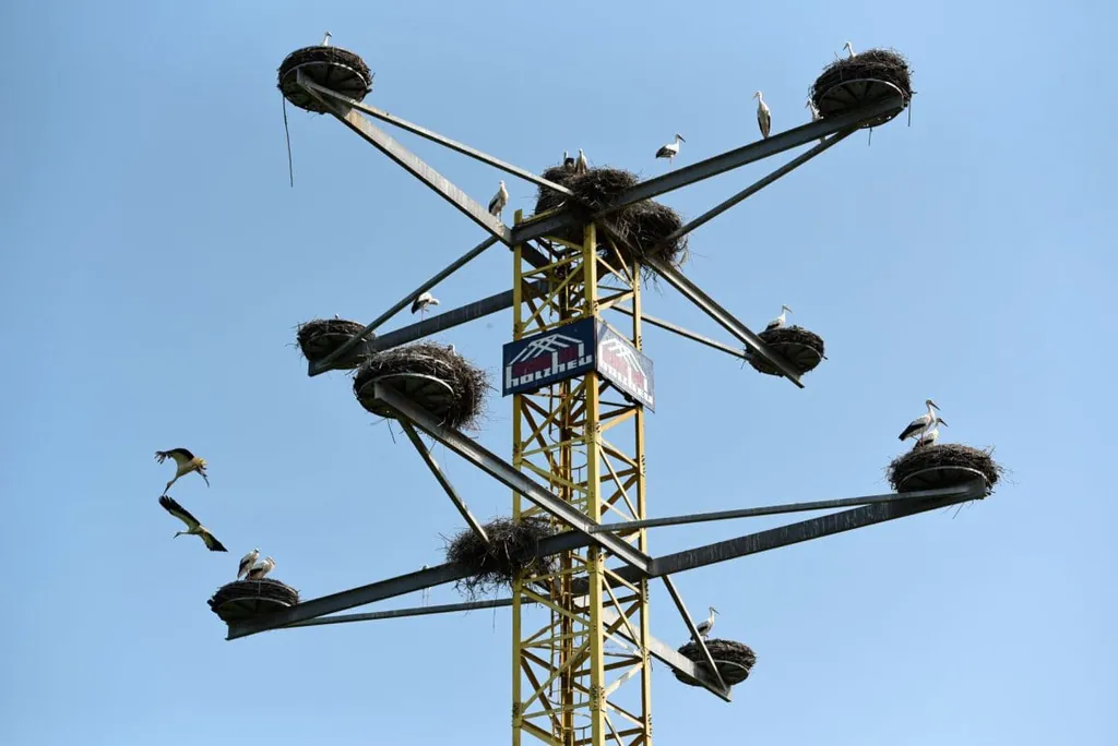 Storchennester auf einem umgebauten Baukran