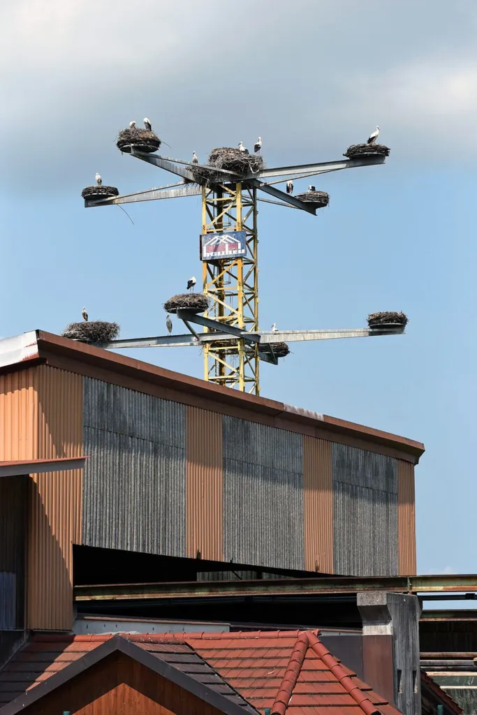 Der Storchenkran &uuml;ber den D&auml;chern von Zimmerei und Baubetrieb.