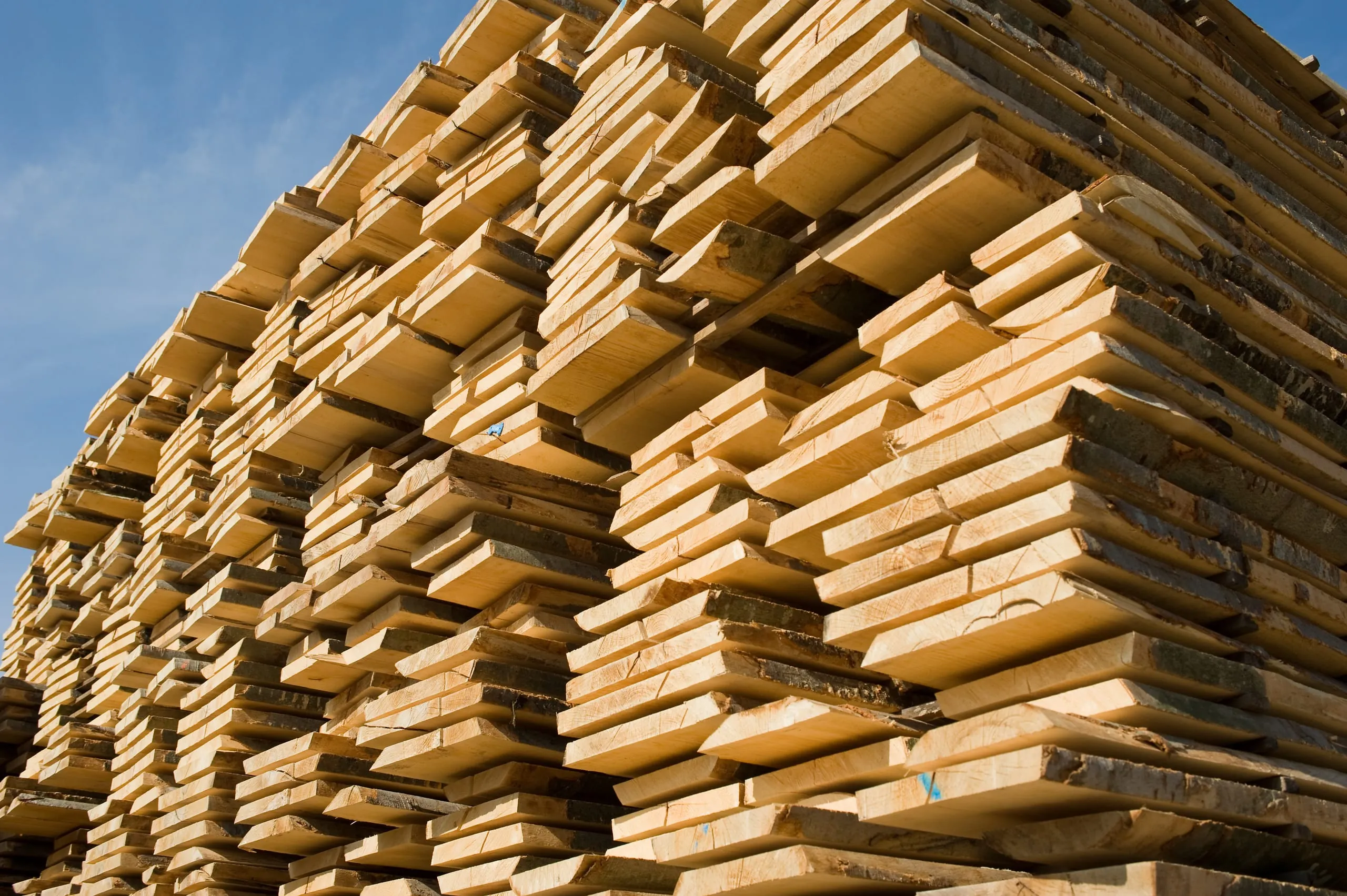 Weltweite Hamsterkäufe: So stark trifft es Betriebe und Endkunden