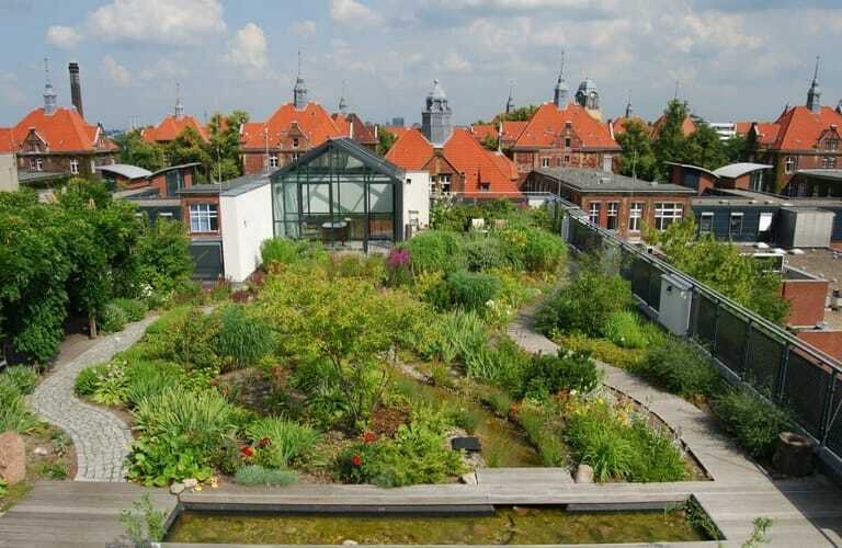 Intensive Dachbegrünung auf der Wiegmann-Klinik in Berlin