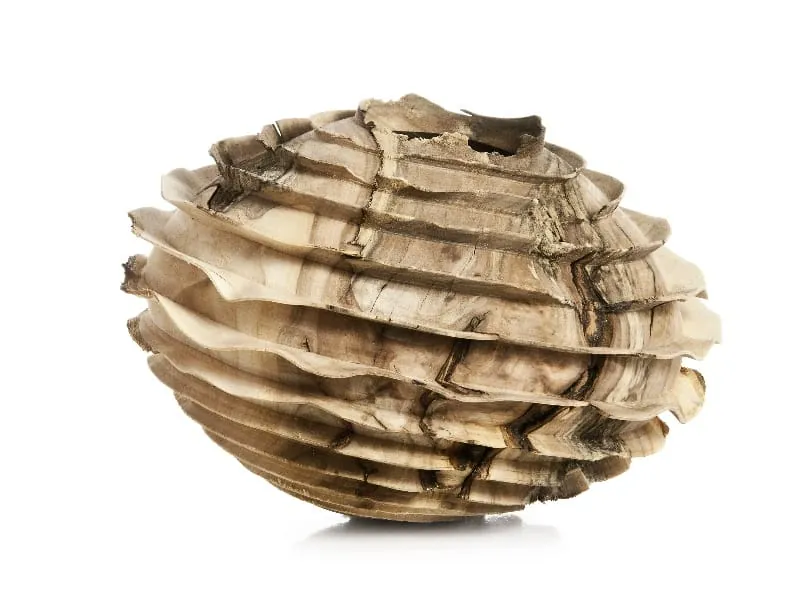 Kunstobjekt aus Apfelholz