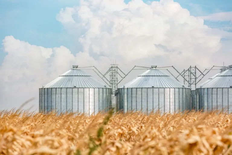 Nahrungsmittelsicherheit