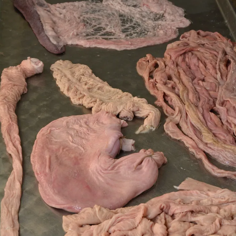 Rohstoffe f&uuml;r Naturd&auml;rme