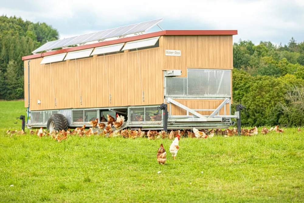 Mobiler H&uuml;hnerstall