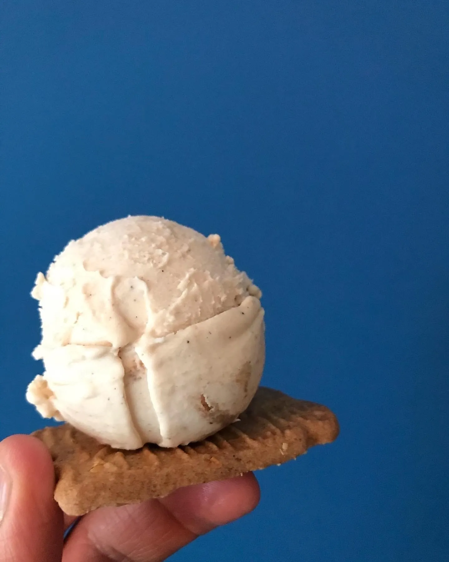 Zimt-Grieß Pau Pau Dresden