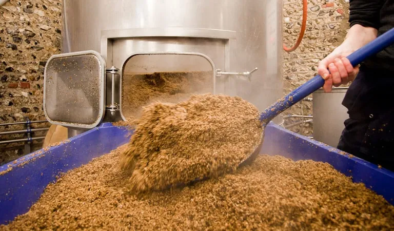 nachhaltigs Backen mit Biertreber