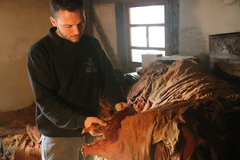 Achim Kolesch pr&uuml;ft den Zustand der Hirschh&auml;ute w&auml;hrend des Gerbens.