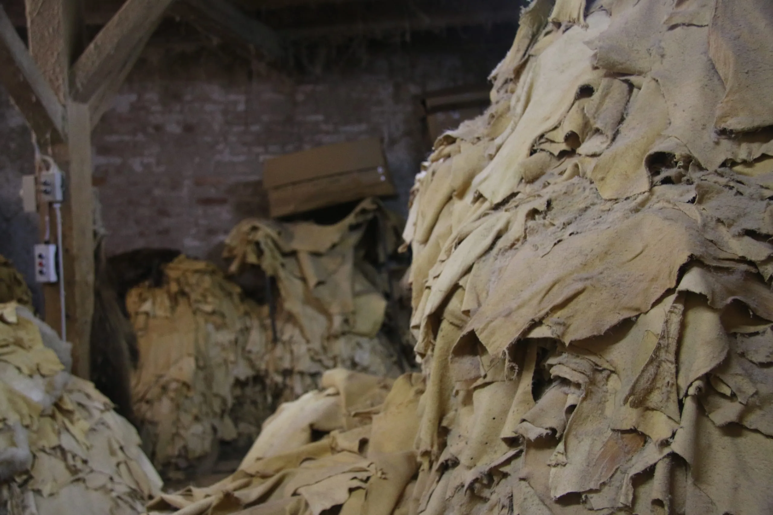 Nicht alles Hirschleder kann gleich gut für Kleidung genutzt werden