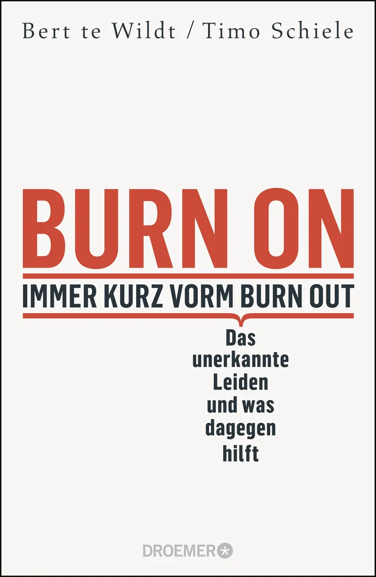 Buchcover Burn on