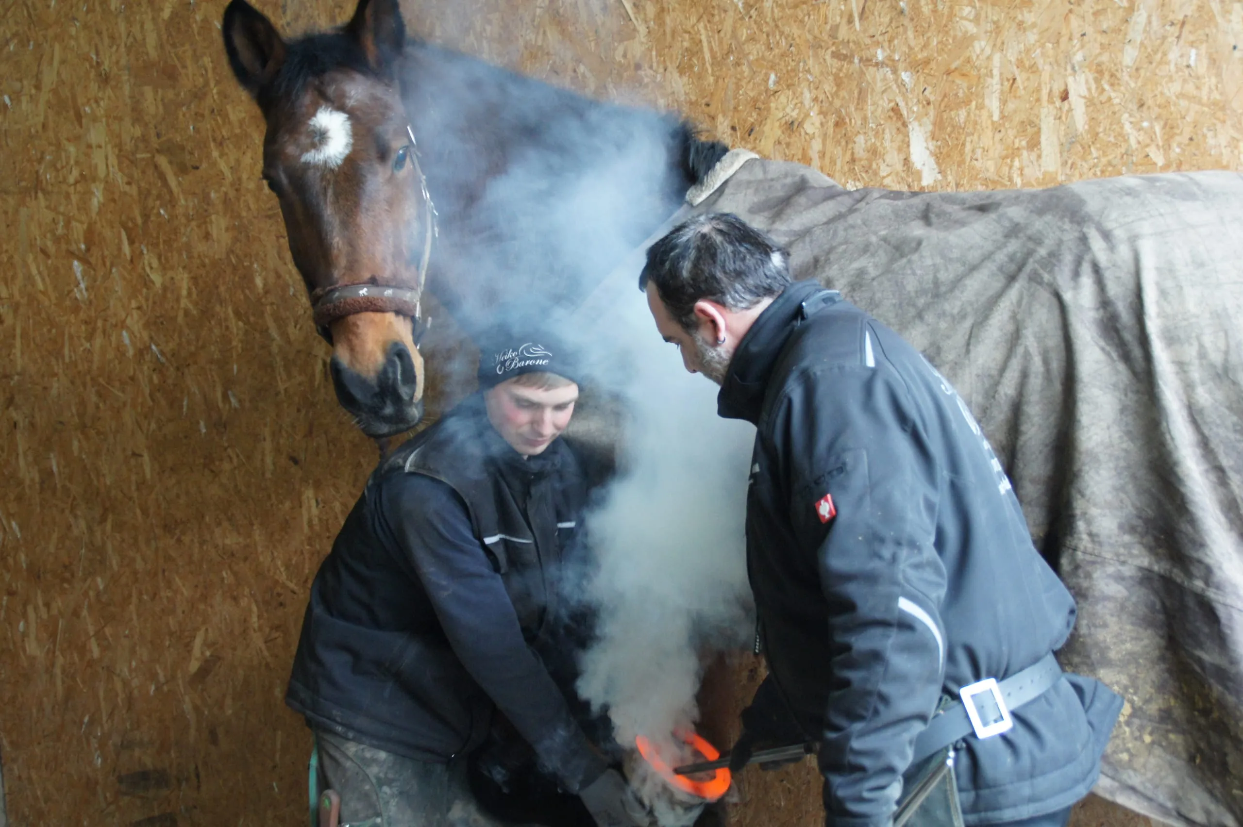 Alarmstufe Rot: Traditionsberuf Hufschmied vor dem Aus?