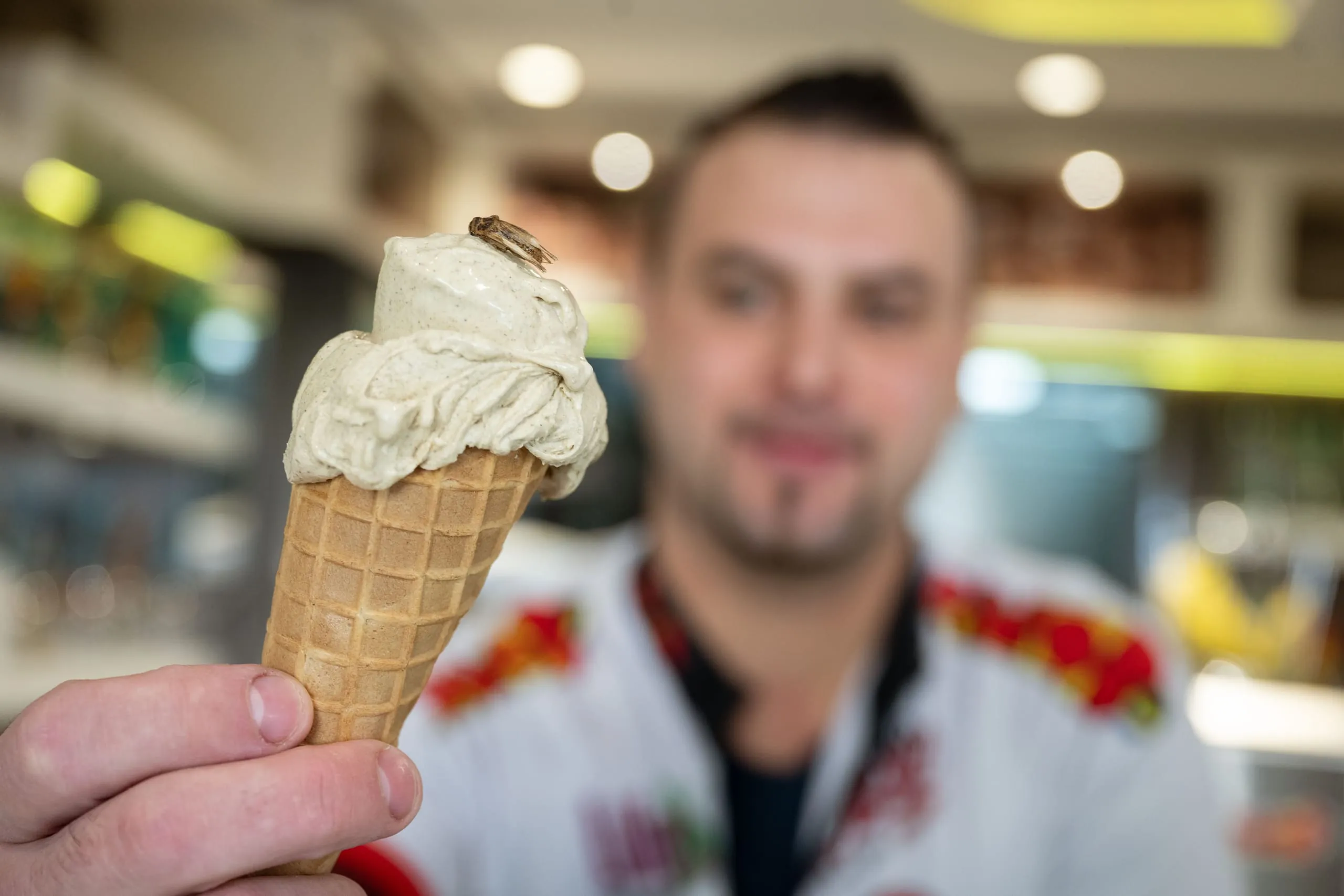 Insekten an der Eistheke: Neues EU-Recht macht´s möglich