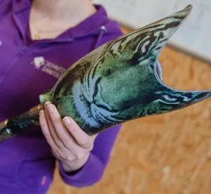 Prothesenschaft mit Tigerkopf