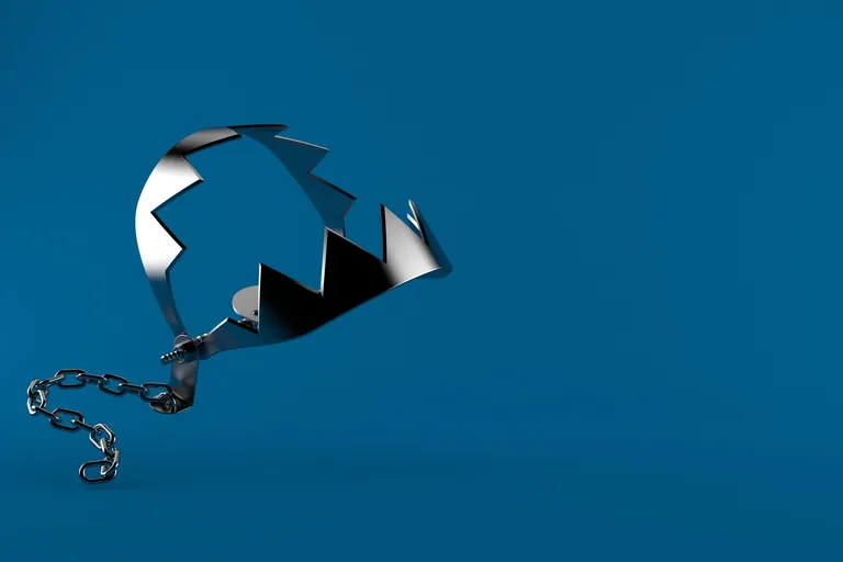 B&auml;renfalle auf blauem Hintergrund.