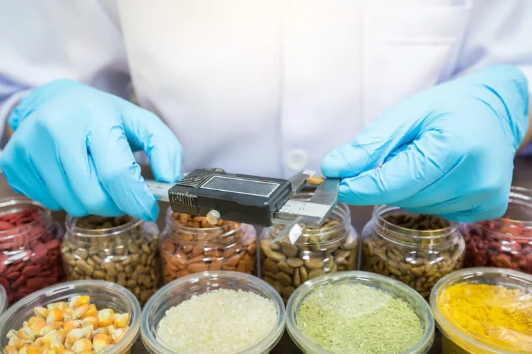 Lebensmittellabor