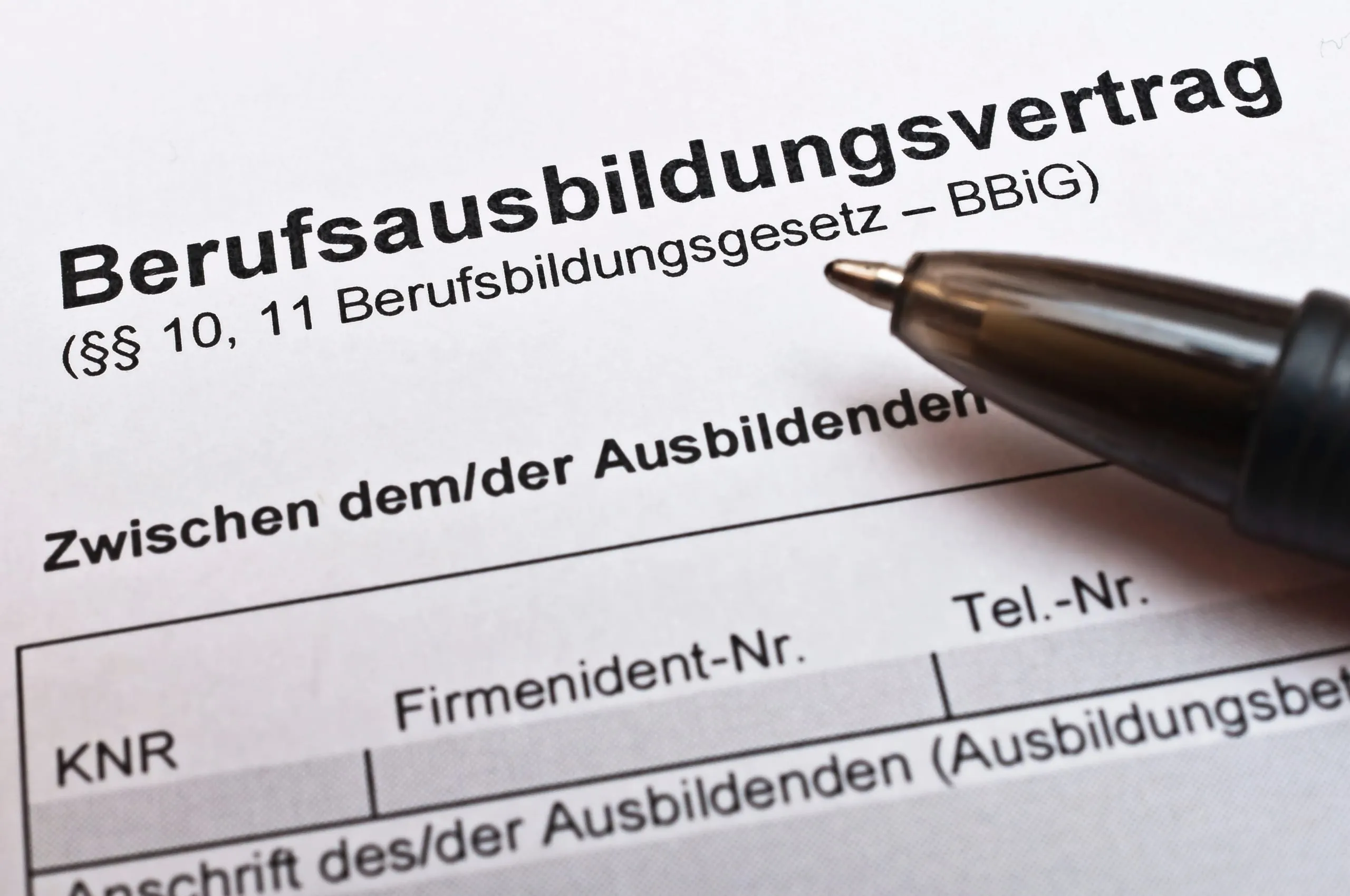 Klassischen Berufsabschluss haben immer weniger Deutsche