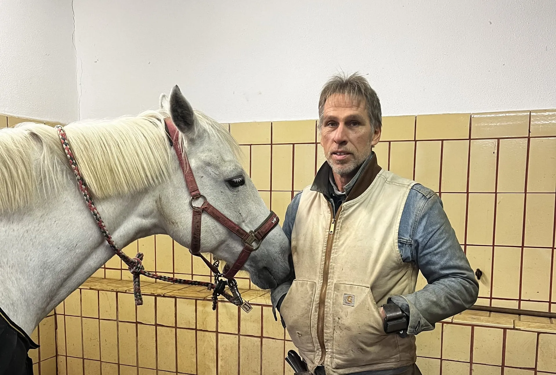 Zu Besuch beim Hufschmied: Arbeit mit Herz und Hufeisen