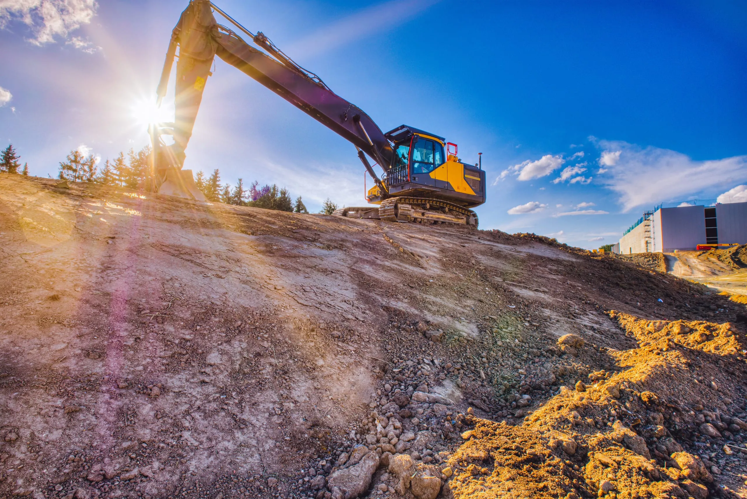 Arbeitsmedizinische Vorsorge: Wer die Ergebnisse erhält