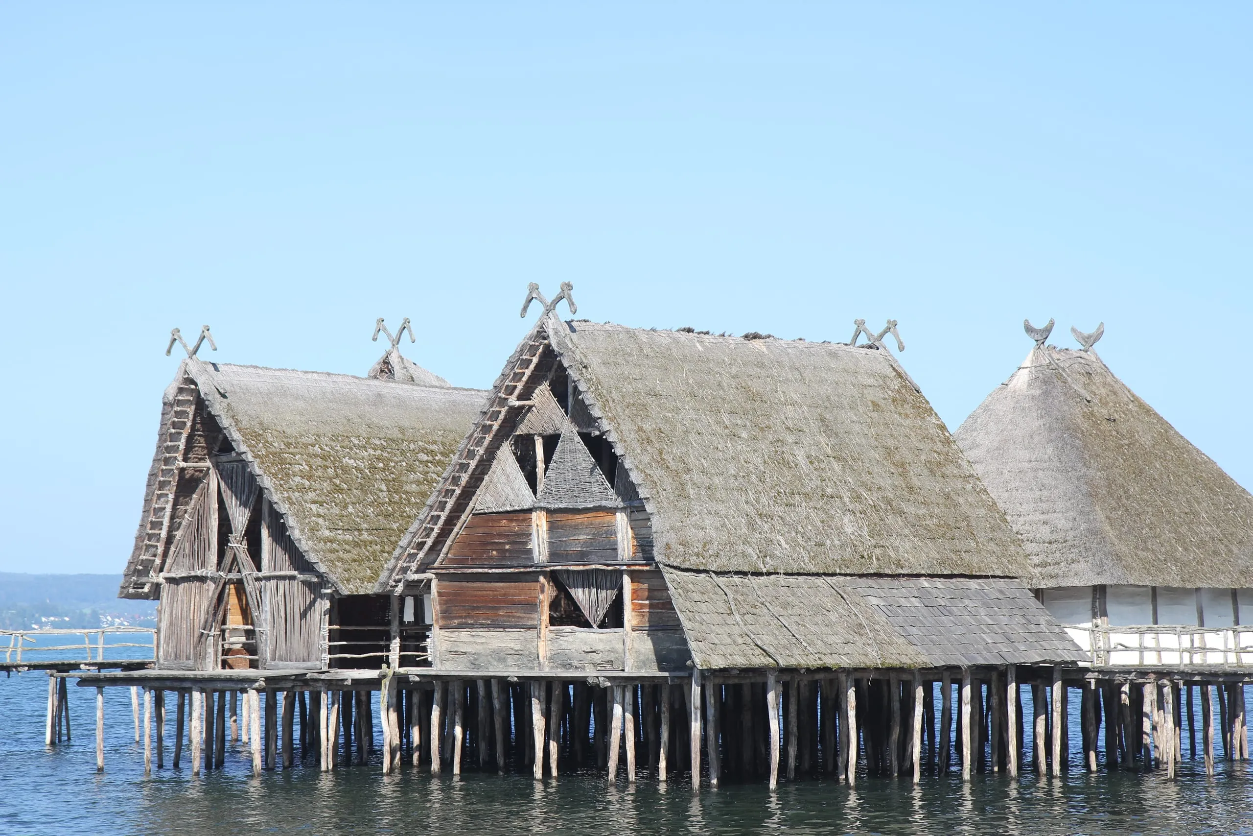 Holz und Hightech, ein altes Kaugummi und Taucherlebnisse