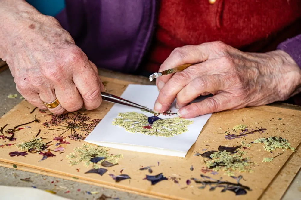 Blütenbilder aus dem Zipfelhaus