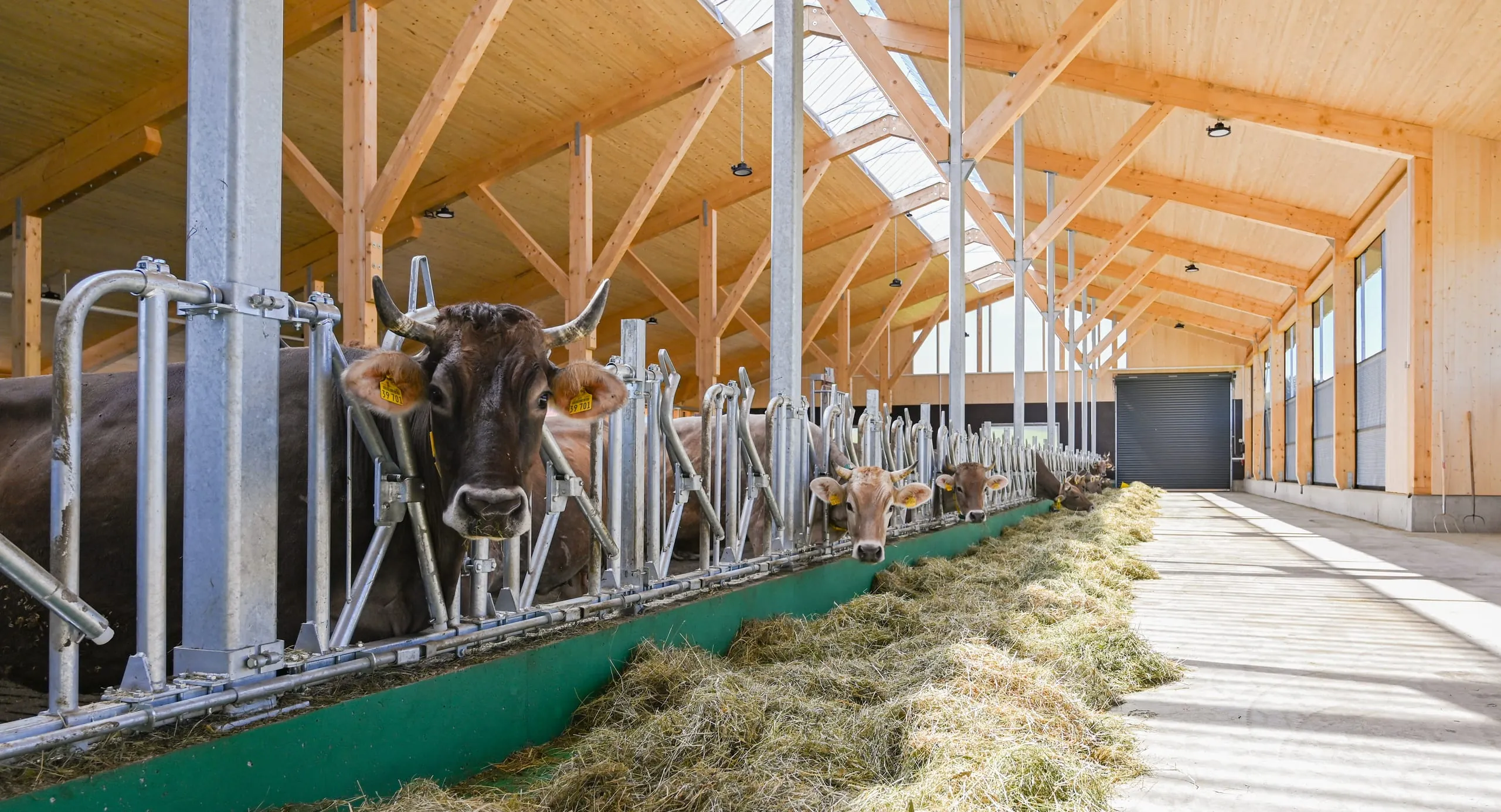 Dieser Betrieb baut Rind, Pferd und Ziege ein durchdachtes Zuhause