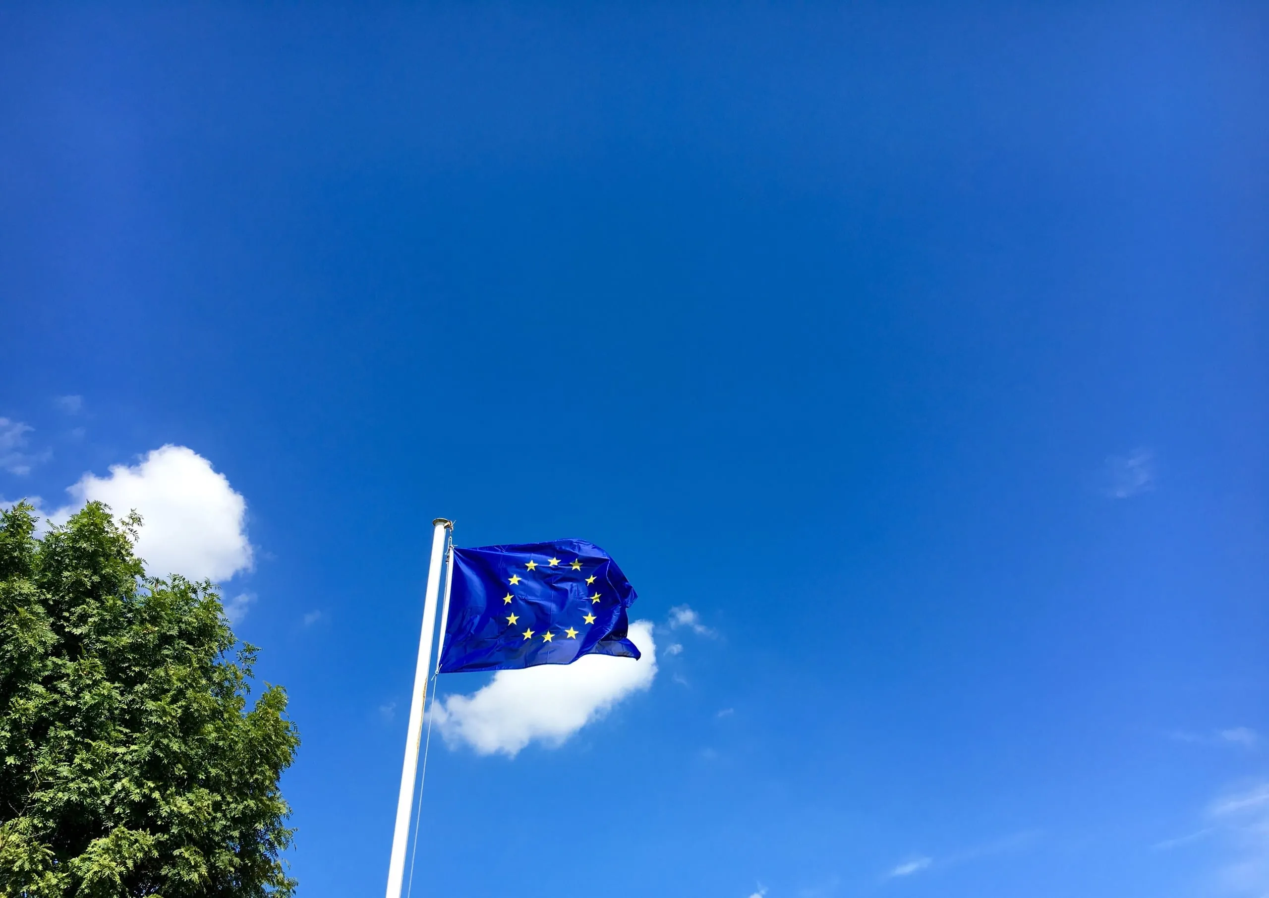 ZDK gegen EU-Verbrennerverbot für Firmenflotten
