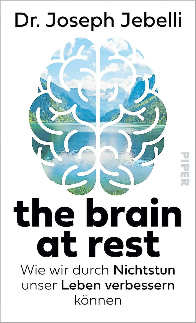 Buch The Brain at Rest