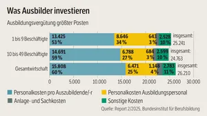 Grafik Was Ausbilder investieren