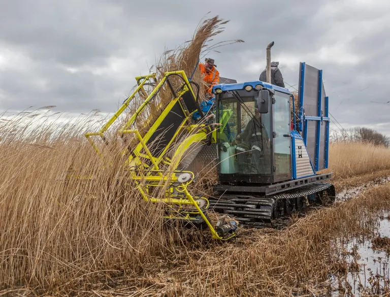 Landwirtschaft auf nassen Moorb&ouml;den