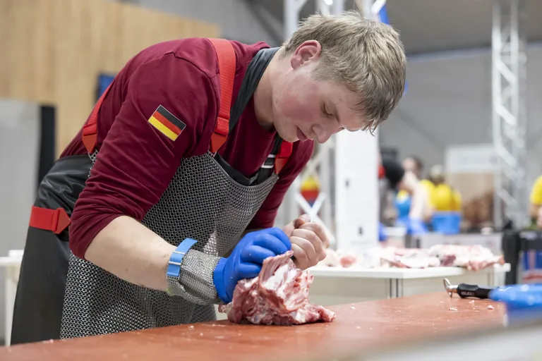 David Hilpert Fleischer