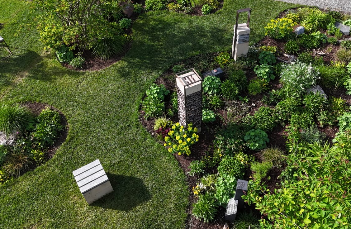 Grabfeld auf dem Campus Vivorum