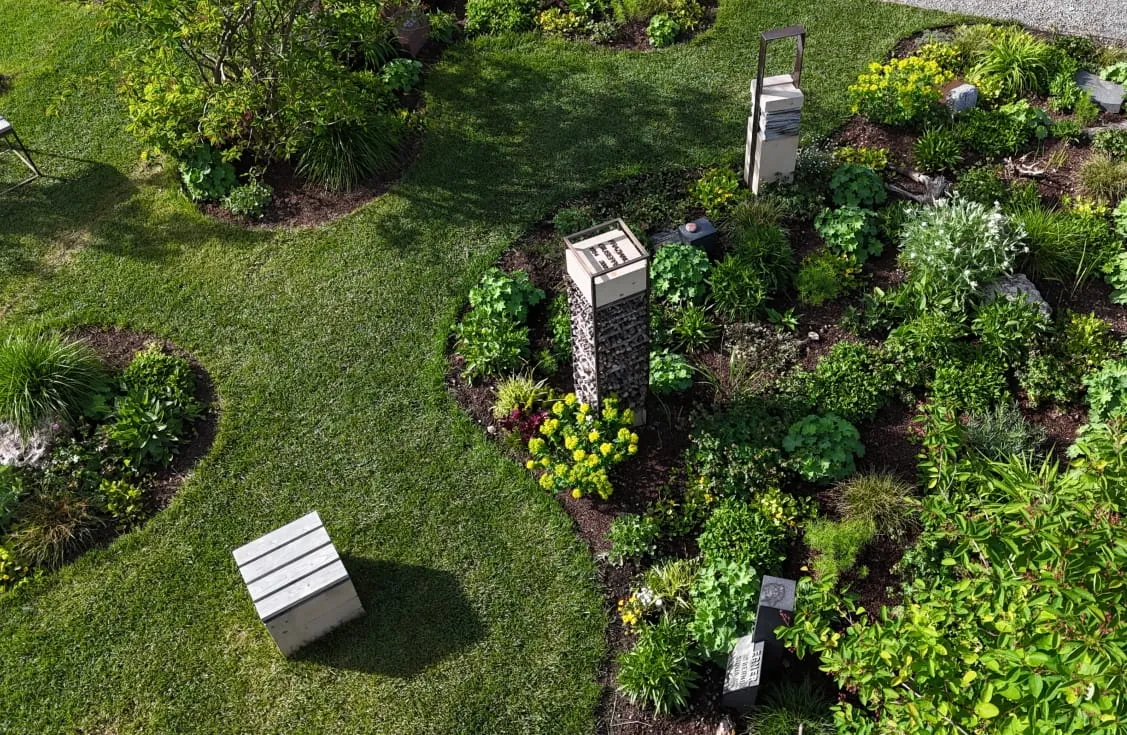 Grabfeld auf dem Campus Vivorum