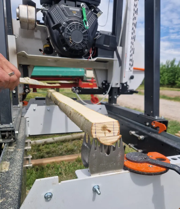 Zuschneiden von Pappelholz