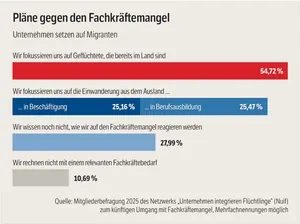 Grafik Pläne gegen den Fachkräftemangel