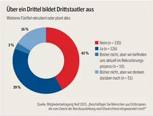 Grafik Über ein Drittel bildet Drittstaatler aus