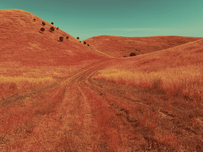 Der Preis für die beeindruckendste "Landschaft" ging 2026 an den Australier Anthony Ginns, der im Südwesten seines Heimatlandes fotografierte.