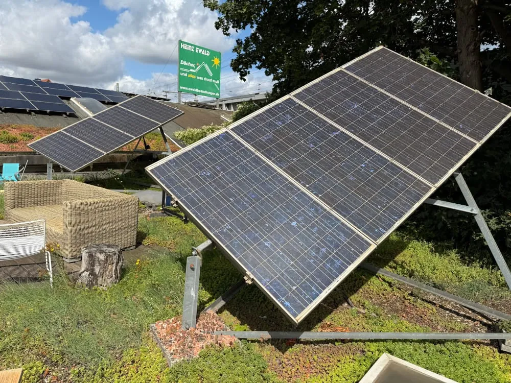 Solargründach: So hilft es gegen Hitze und Starkregen