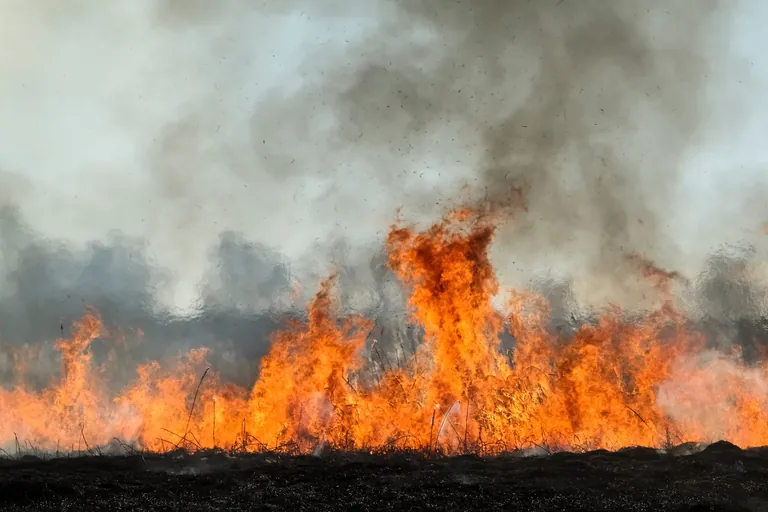 Flammen auf Feld