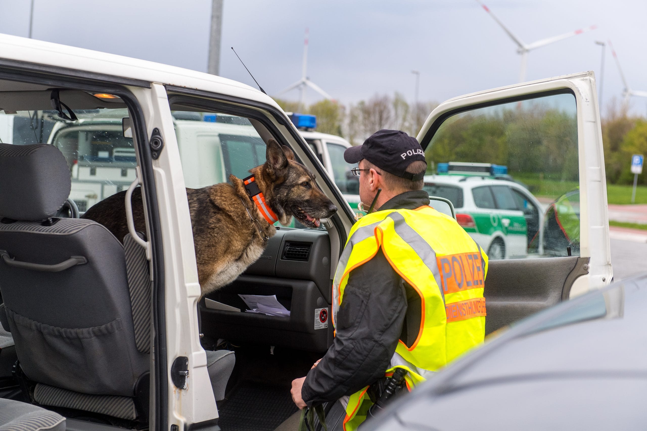 Cash-sniffing dogs deployed against illegal construction work